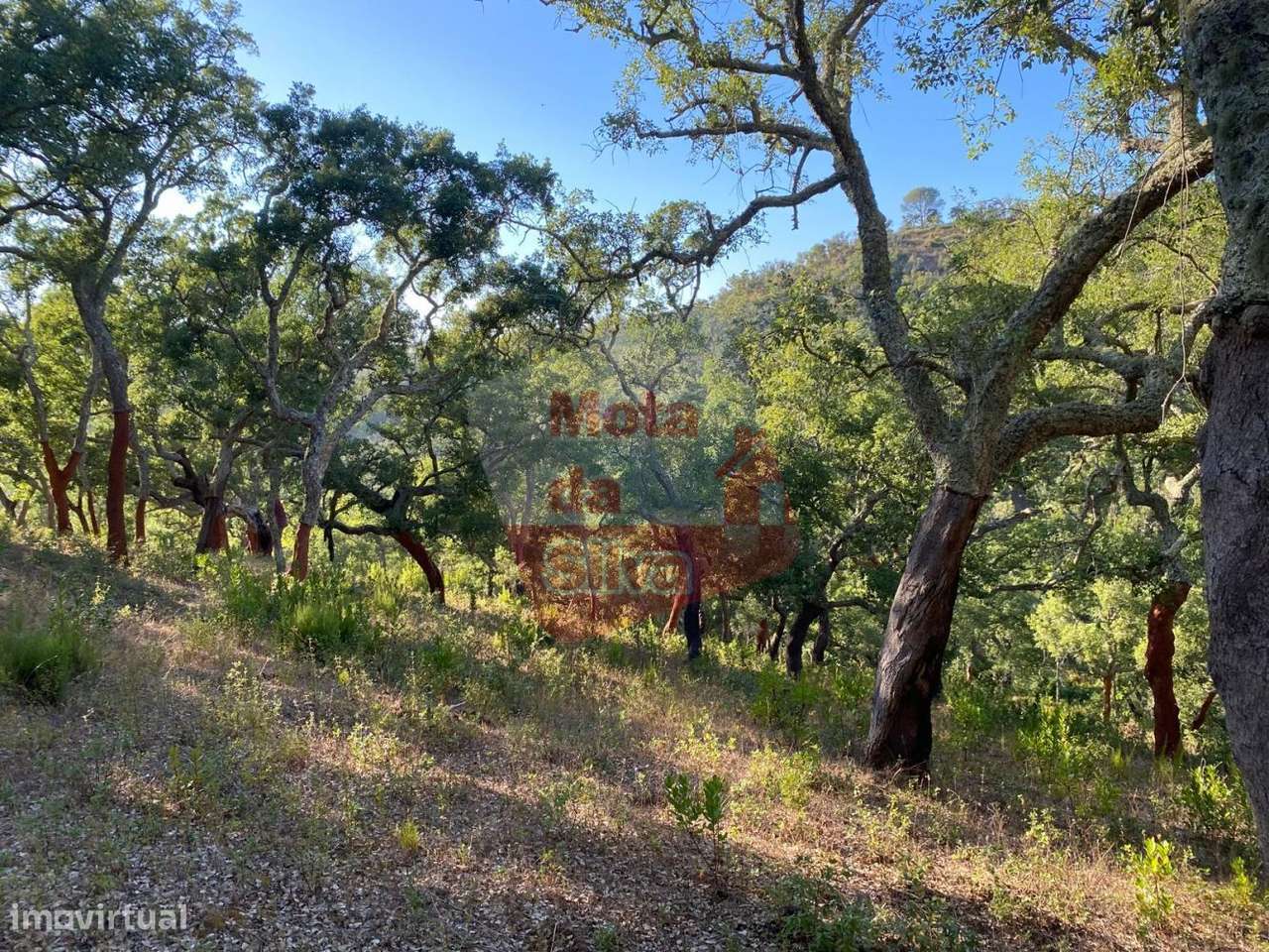 Terreno em São Francisco da Serra - Grande imagem: 5/14