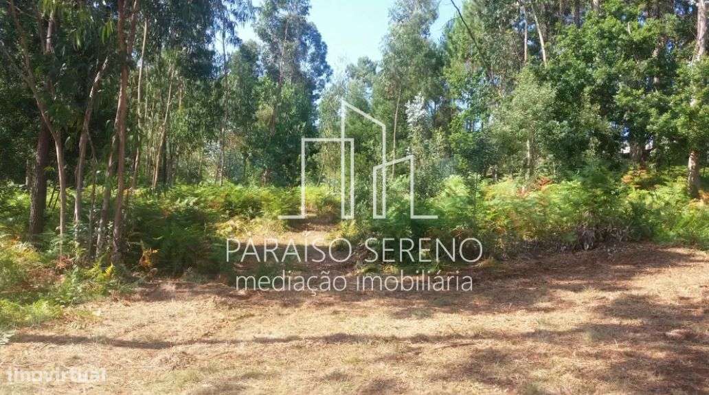 Terreno Caldas de São Jorge - Grande imagem: 4/5