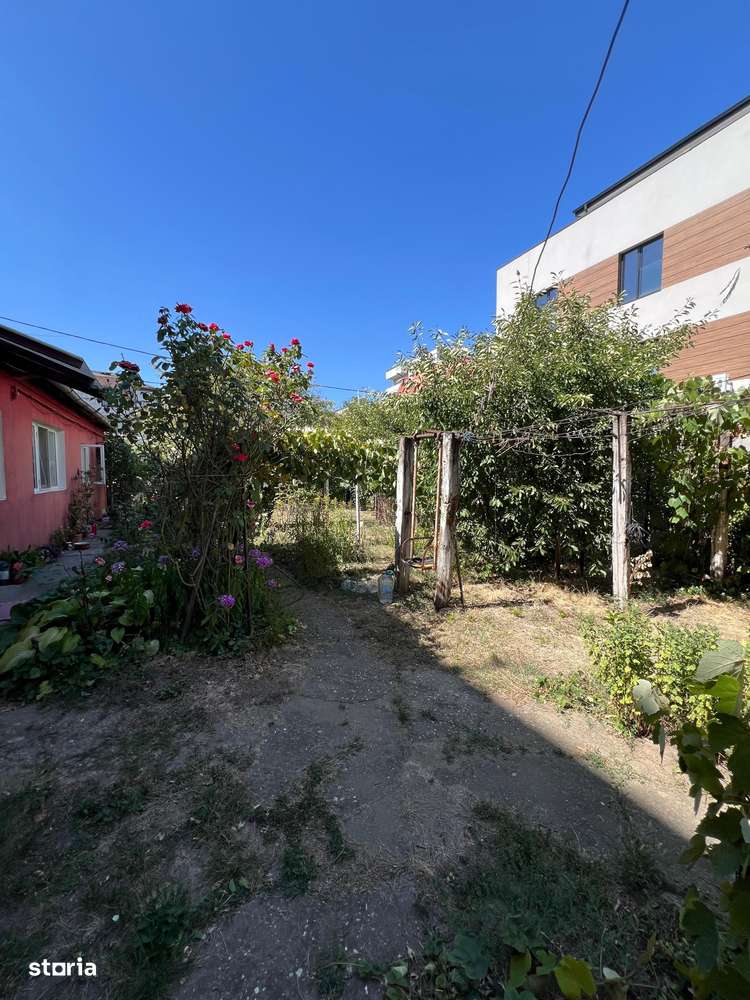 Teren str Renasterii Chitila - Imagine principală: 5/6