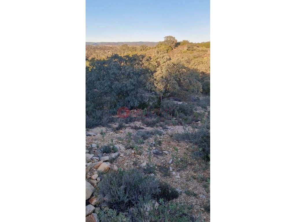 Terreno Rústico de 5.700m² em Loulé, Próximo da Cidade - Grande imagem: 2/7