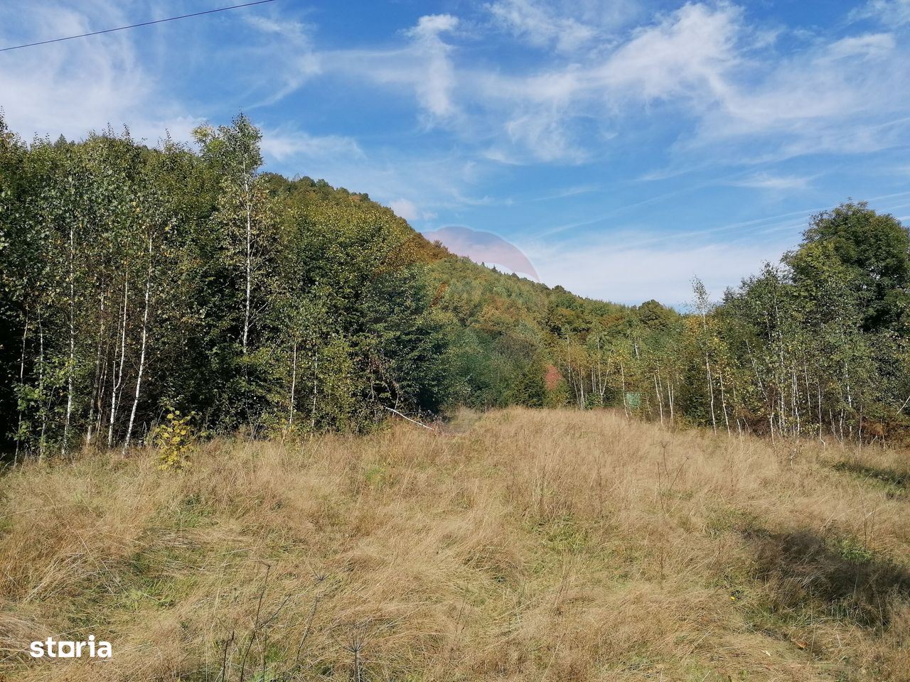 Teren 6,000mp Valea Draganului / Strada Principala