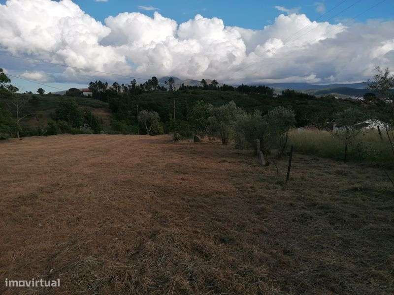 Quinta em Galizes - Grande imagem: 5/8