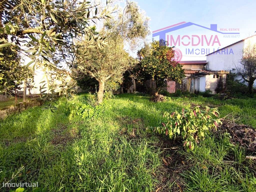 Casa Rústica com terreno situado em Troviscais, Pedrogão Grande-17