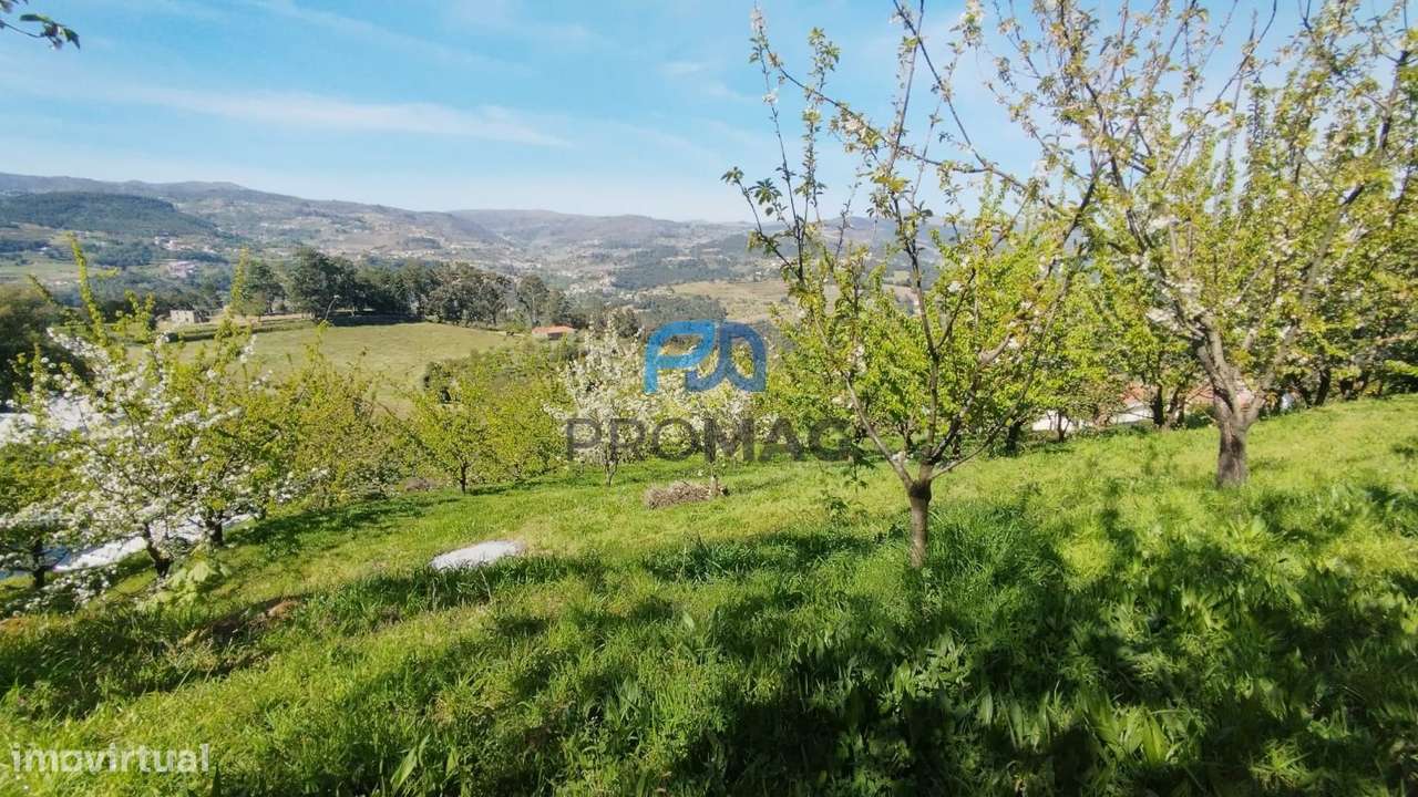 Quinta do Valado- Excelente Investimento em Resende-51