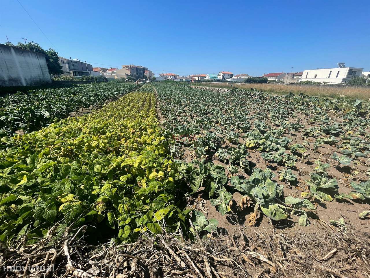 Terreno urbano com 1476m2 localizado em Aver o Mar, Póvoa de Varzim  N - Grande imagem: 3/30
