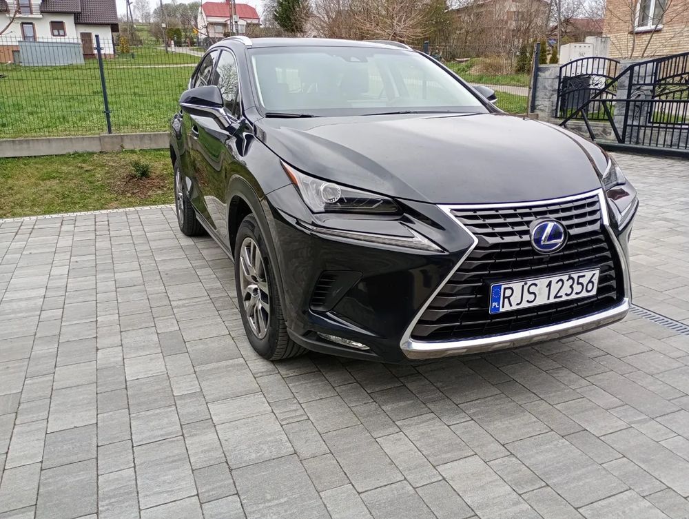 Lexus NX I 300h Elegance 2WD 2019