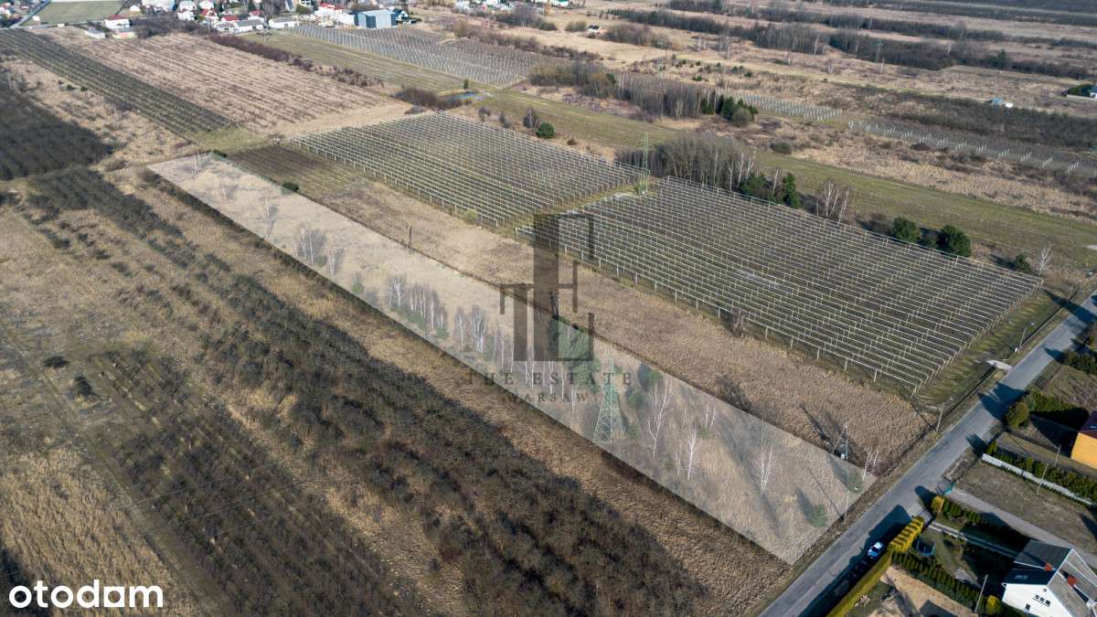 Działka rolna w Warce | brak Mpzp - Pełny obrazek: 3/10