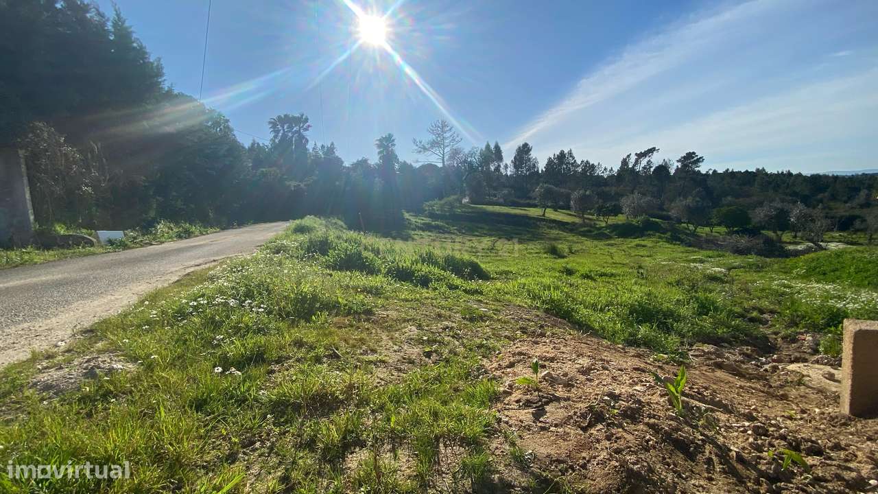 Terreno para construção – a 15 minutos de Tomar e do Entroncamento (Li - Grande imagem: 3/19