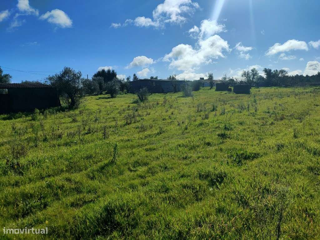Monte com moradia para renovar em Grândola-5