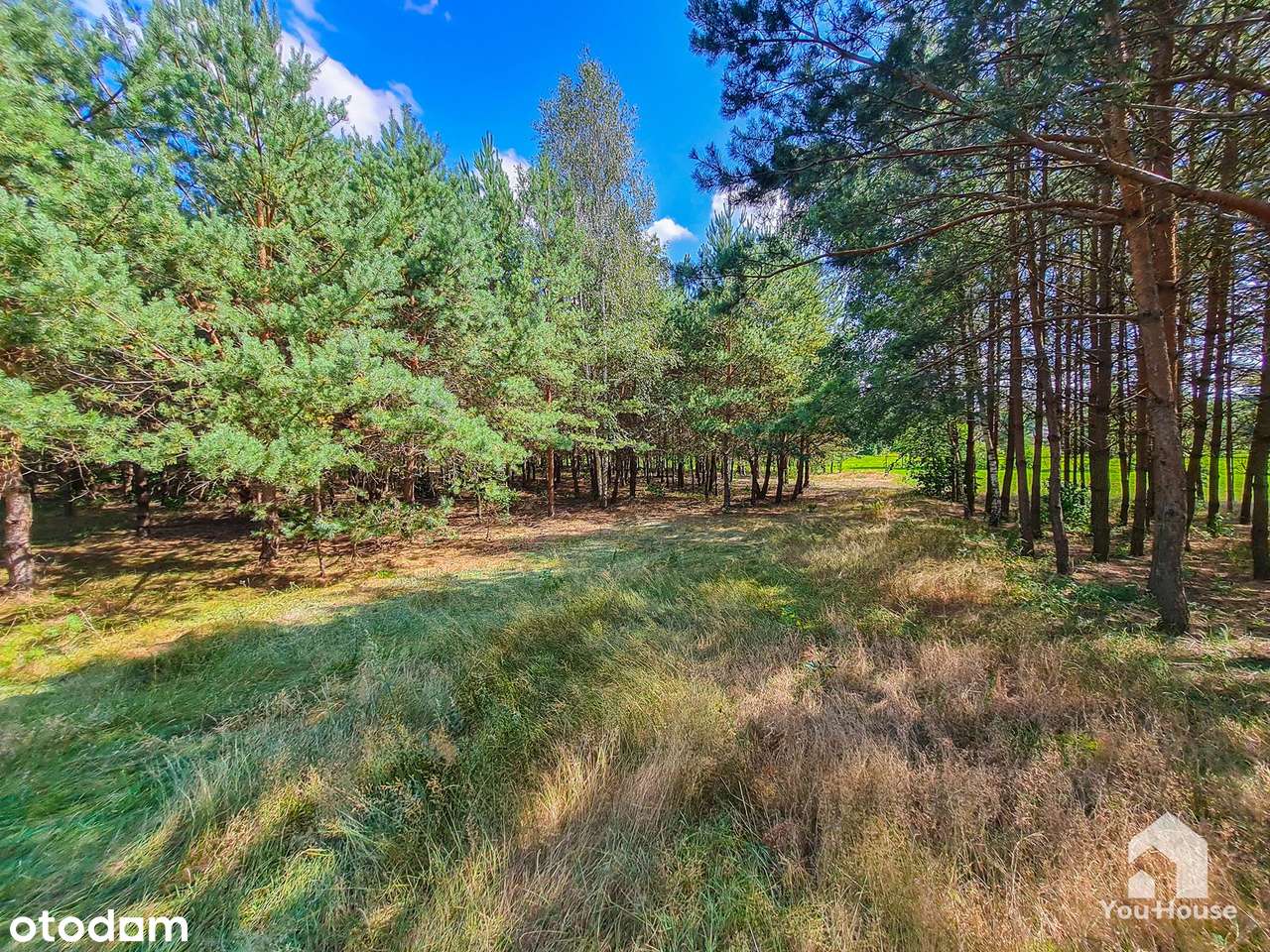 Grunt nad Jeziorem Nielbark-10