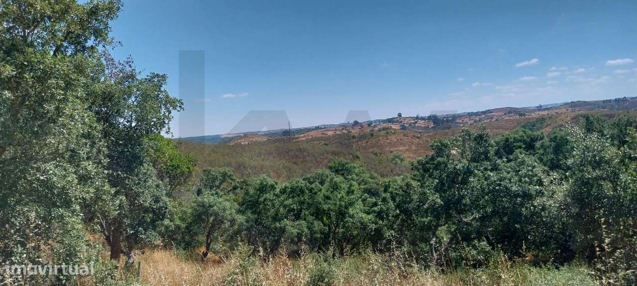 Quinta com ruina - Grande imagem: 5/8