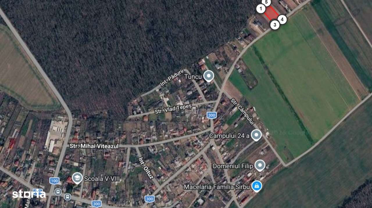 Teren intravilan Găneasa 2.805 mp, deschidere 33 ml,utilități la teren-6