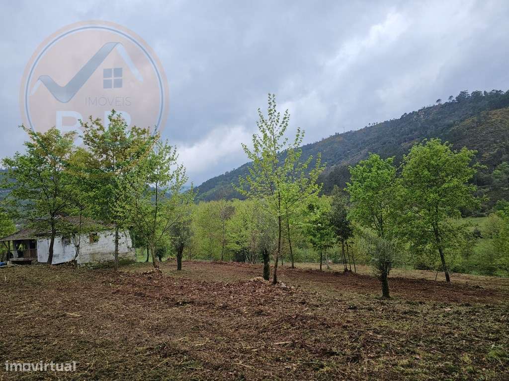 Quinta junto ao rio e área de lazer de Santa Senhorinha de Basto, C...-20