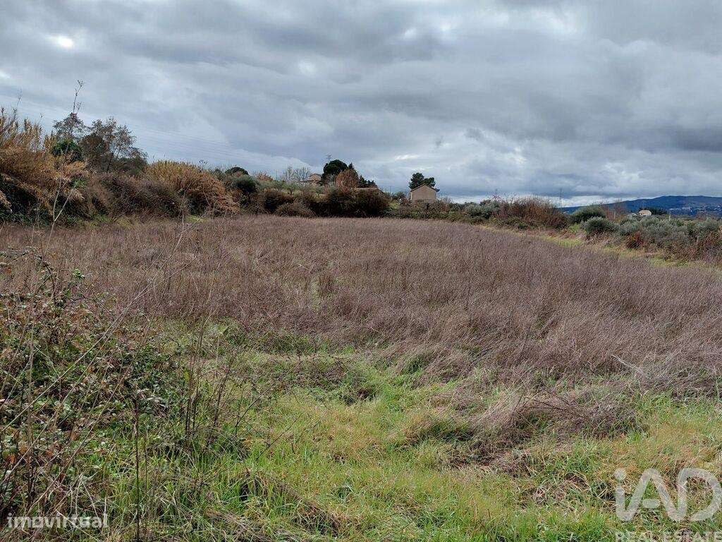 Quinta em Ferro de 226 m2 - Grande imagem: 5/14