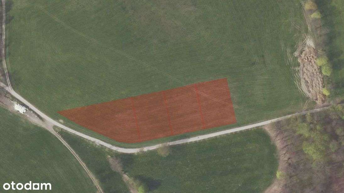 Świetna działka w Janowicach Wielkich!-5