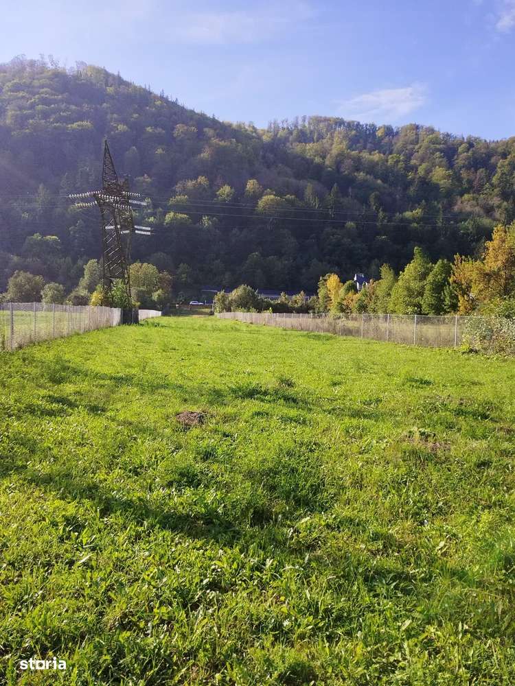 Teren intravilan Preluca - Imagine principală: 5/12