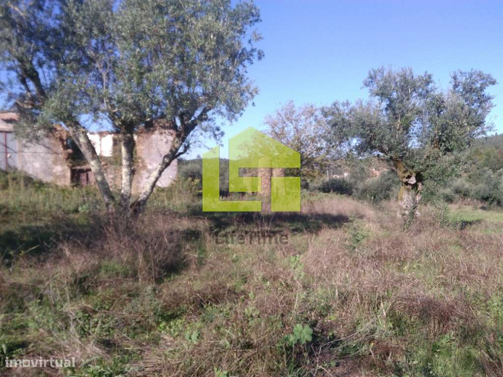 Terreno com casa para recuperar - Grande imagem: 5/17