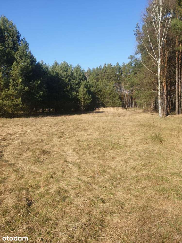 działka - Pełny obrazek: 2/12