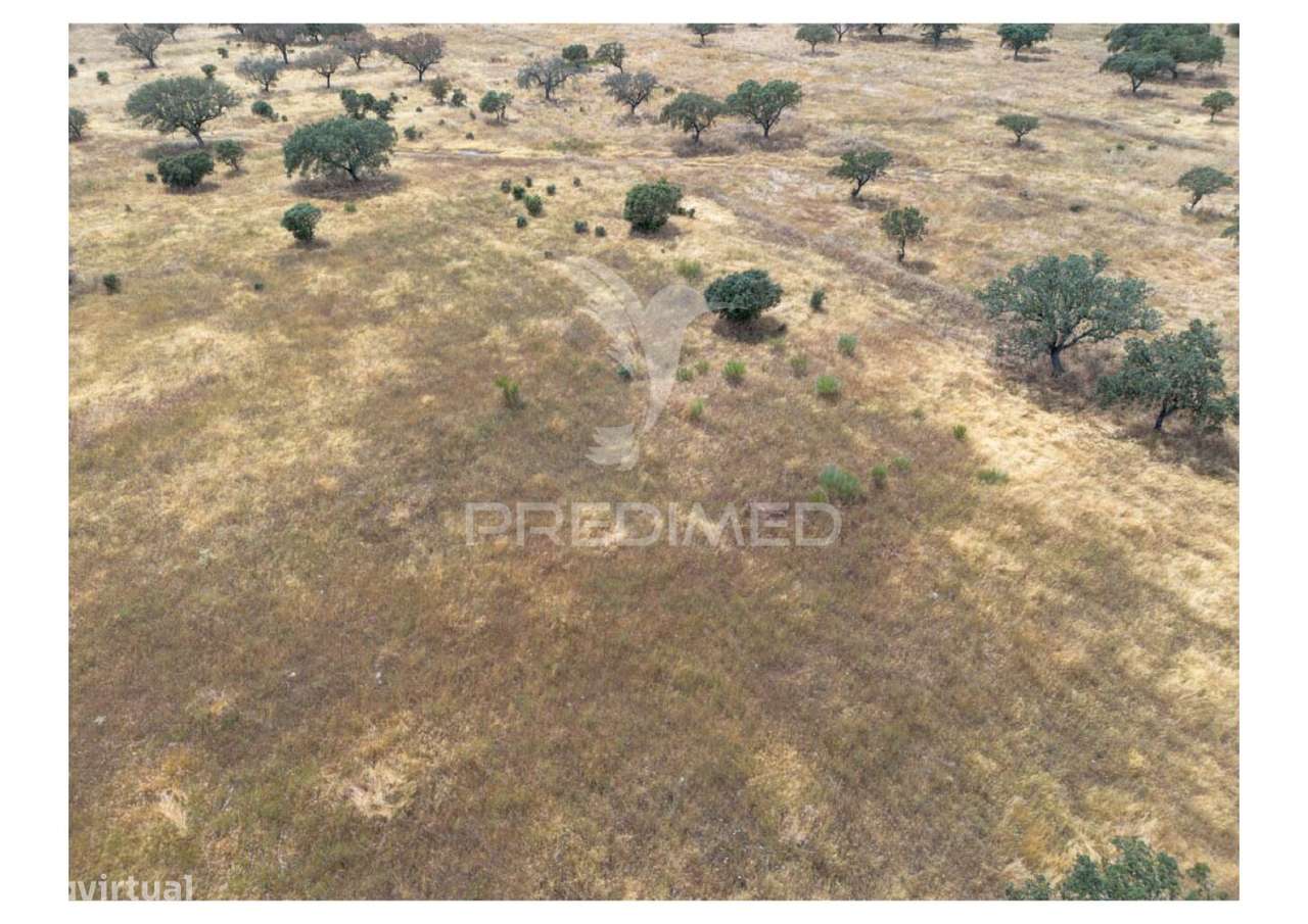 Terreno Rústico de 10,95 Hectares à Venda –Monte Juntos , Freguesia... - Grande imagem: 2/21