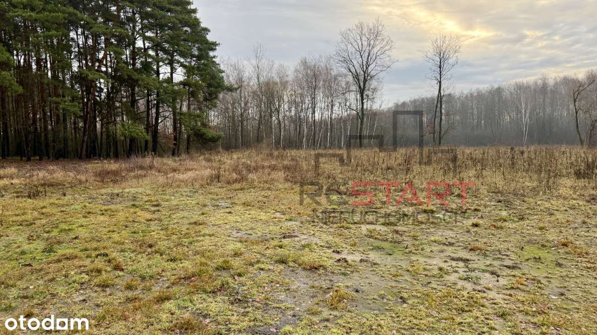 Bliżniak w miejscowości Podlasie gm. Radziejowice!-6