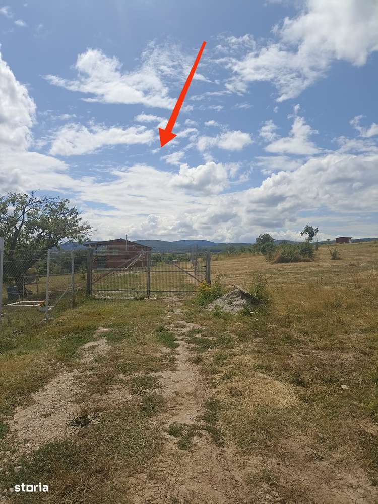 De vânzare teren extravilan în Valea Crisului - Imagine principală: 3/7