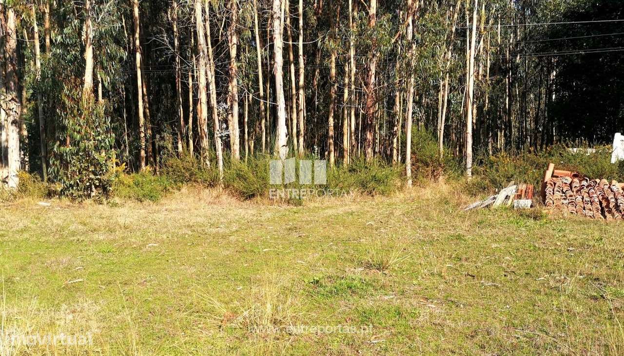 Venda de terreno para construção, V. N. Anha, Viana do Castelo - Grande imagem: 4/30