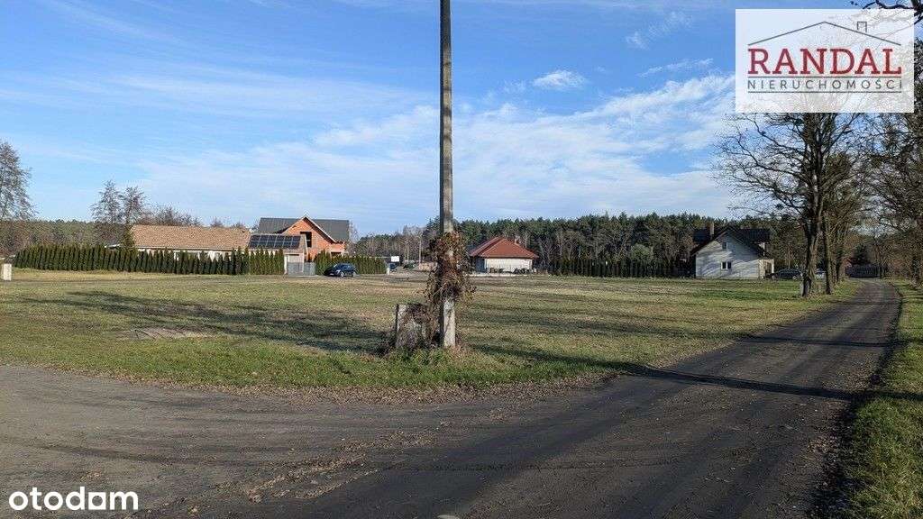 działka w otoczeniu lasów-3