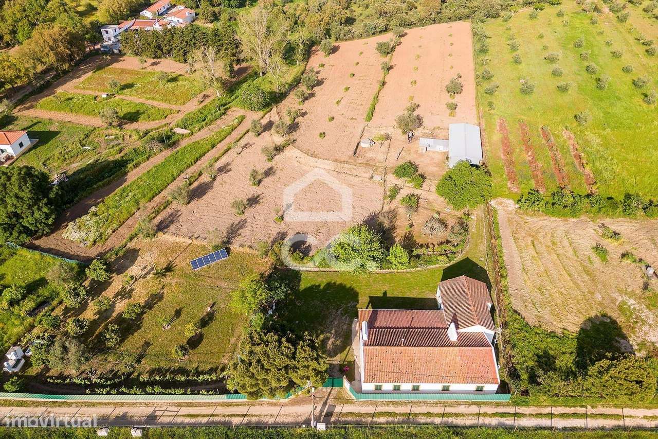 Quinta de 9250m2 c/ Moradia T4 térrea, anexo e armazém | Azaruja-56