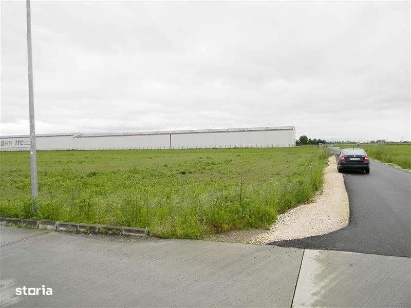 Teren pentru hale-Ghimbav-Joysonquin - Imagine principală: 2/10