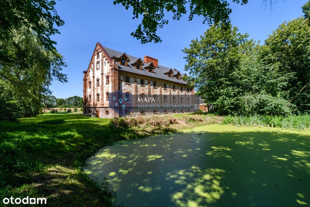 Wspaniała inwestycja/Urokliwy Spichlerz w Dyblinie - Pełny obrazek: 4/20