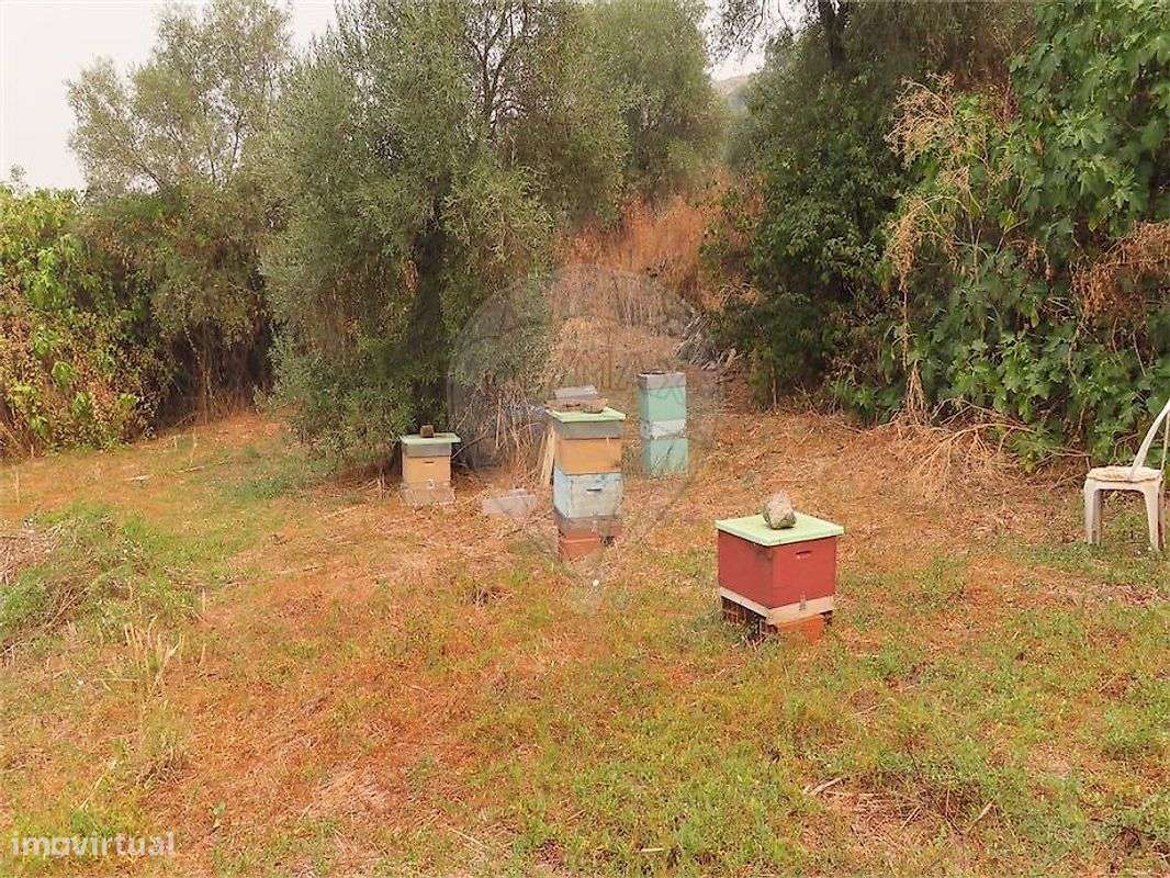 Quinta  para venda - Grande imagem: 4/25