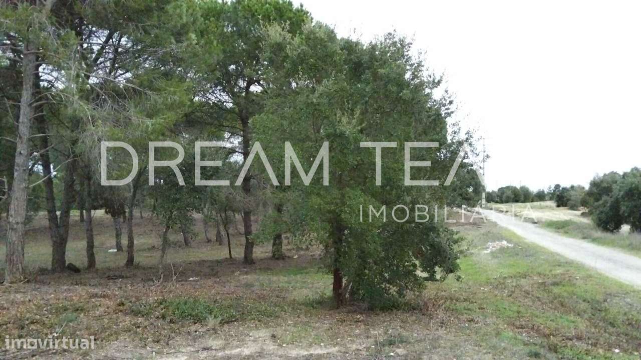 Terreno Urbano para Construção – Palhais-Coina | Viabilidade para 27 F-9