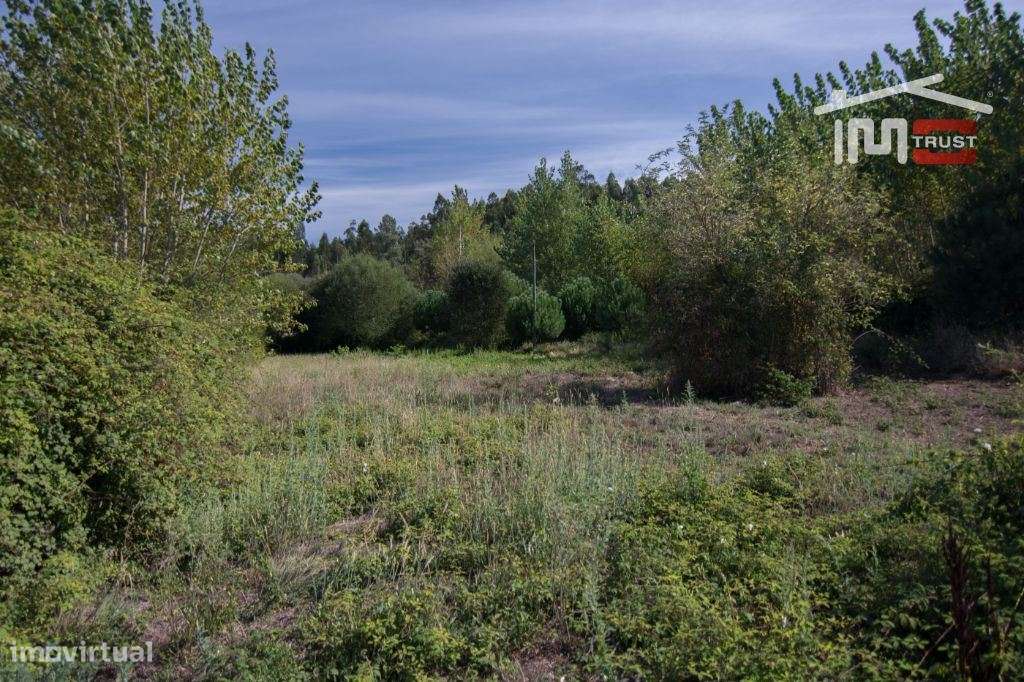 Terreno com 550 m2 Carvalhinho Albergaria dos Doze - Grande imagem: 3/6