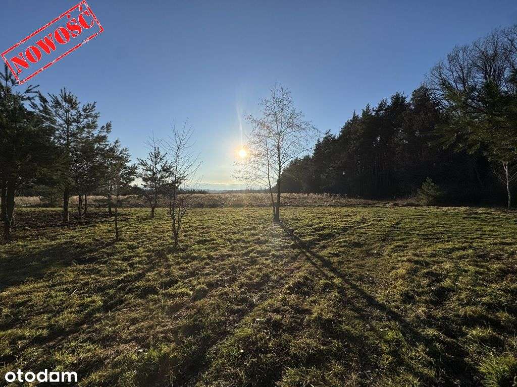 Działka budowlana 8500m2 (Ml), Słupice-6