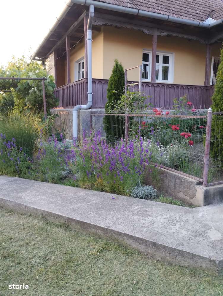 Casă renovată, teren 2300 mp, utilități complete – poziție centrală-3