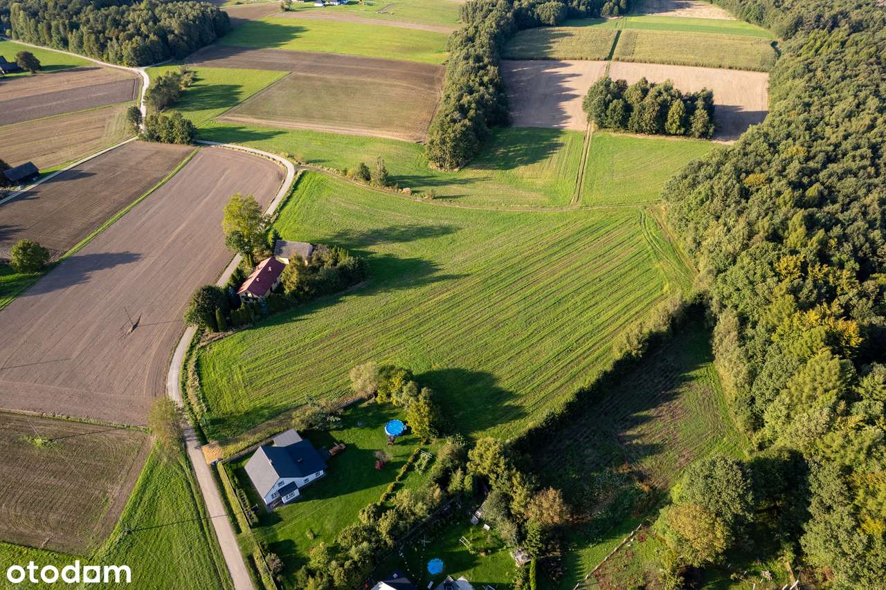 Na sprzedaż działki budowlane – Nidek - Pełny obrazek: 5/10