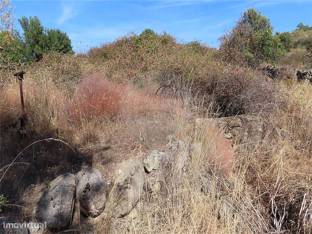 Quinta  para venda-12