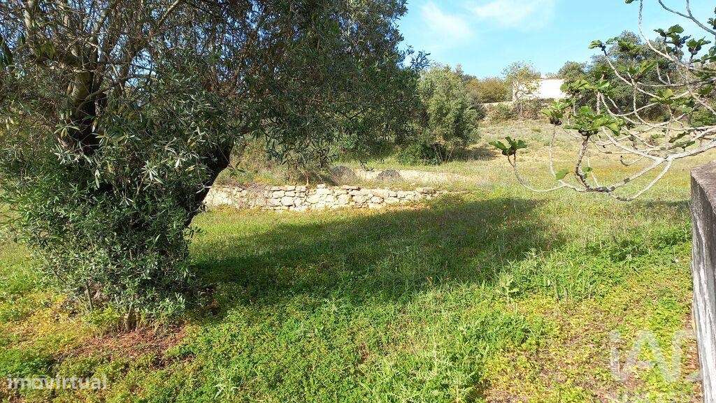 Terreno em Santa Bárbara de Nexe - Grande imagem: 5/6