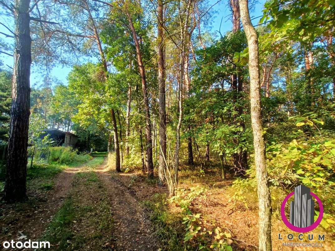 Dom 144m² działka 1880m² Żarki Letnisko-9