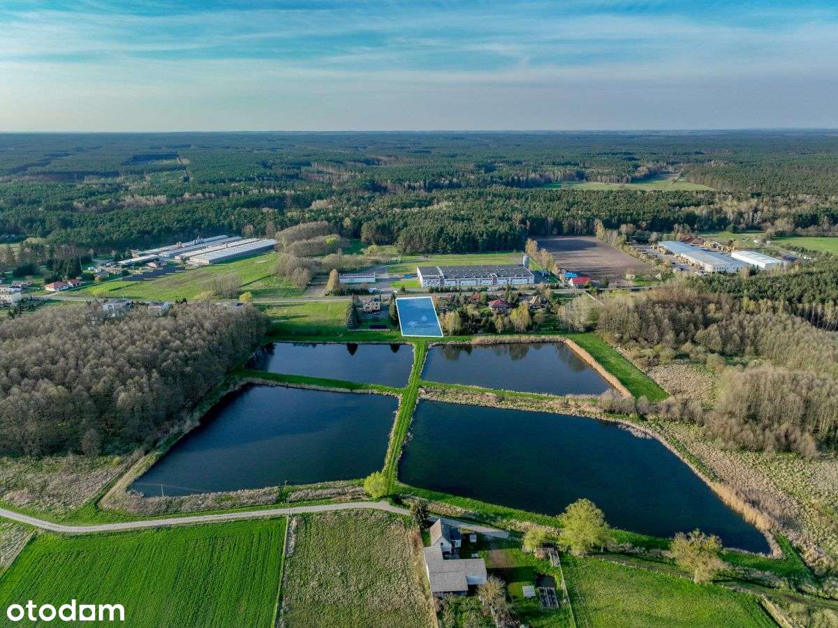 Nietuzinkowa działka w bliskości Puszczy Noteckiej-10