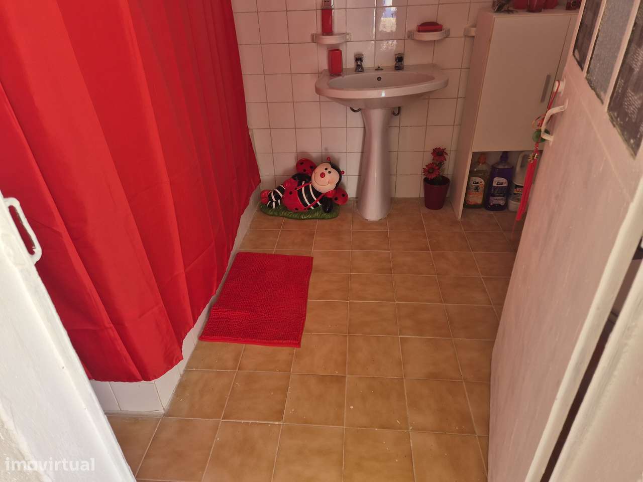 Moradia terrea com logradouro em Conceição-Ourique - Grande imagem: 5/23