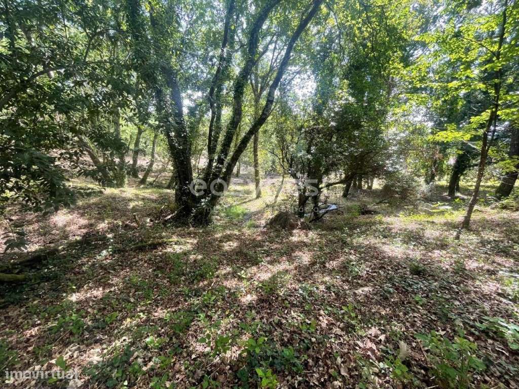 Terreno destinado a construção, localizado em Coutos de Viseu - Grande imagem: 3/22