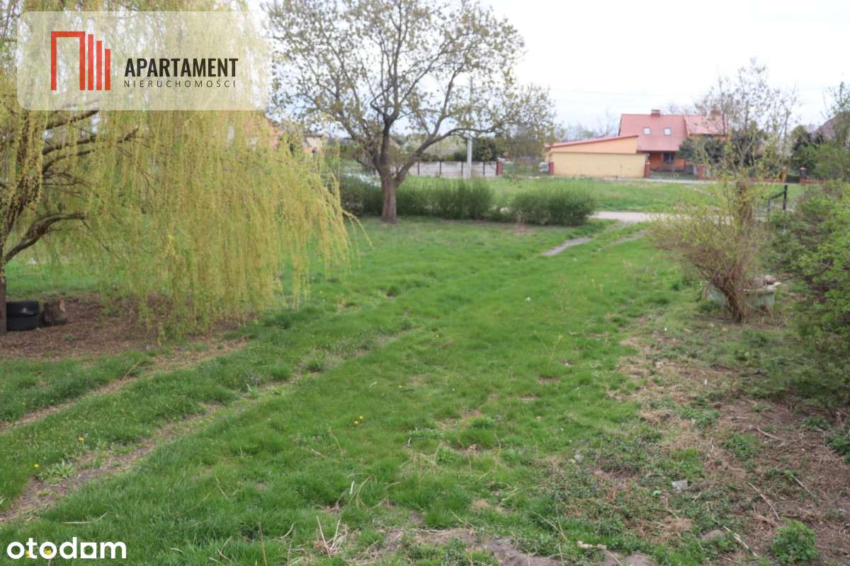 Duża działka 1,15 ha z zabudowaniami - Pełny obrazek: 5/7