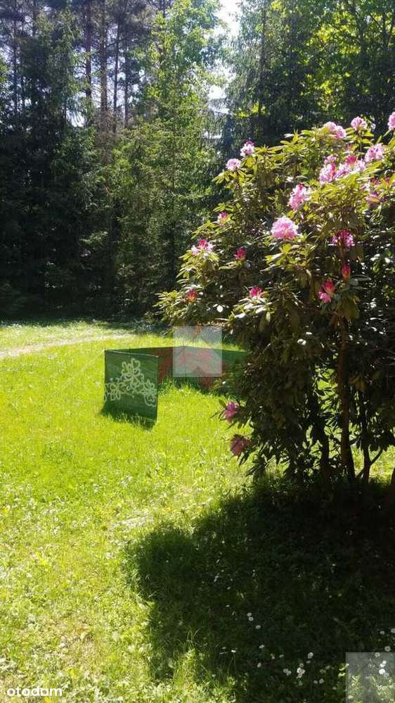 Dom jednorodzinny | 8 arów | do zamieszkania-5