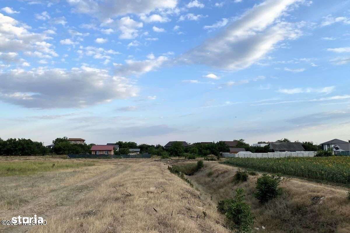 Tamasi, langa padure, 12.824 mp, deschidere 45 ml, teren cu potential - Imagine principală: 3/12