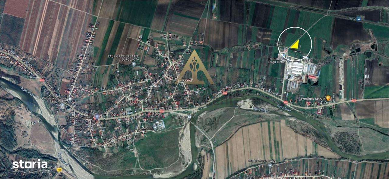 Teren intravilan de vanzare in Tg Trotus-6