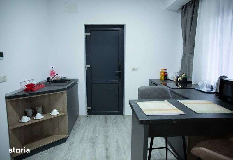 Cazare  Studio Living Bucsoaia - Imagine principală: 4/8