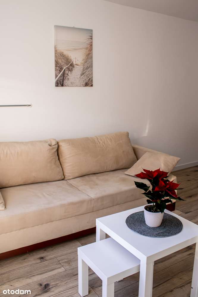 Mieszkanie - 2 Pokoje - PIERWSZY NAJEMCA -Świetna lokalizacja-1 piętro - Pełny obrazek: 4/17