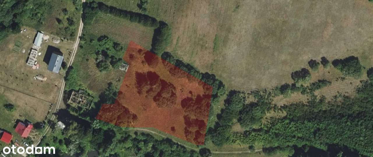 Atrakcyjna działka 4 891m² - Główka, gm. Gołdap - Pełny obrazek: 4/5