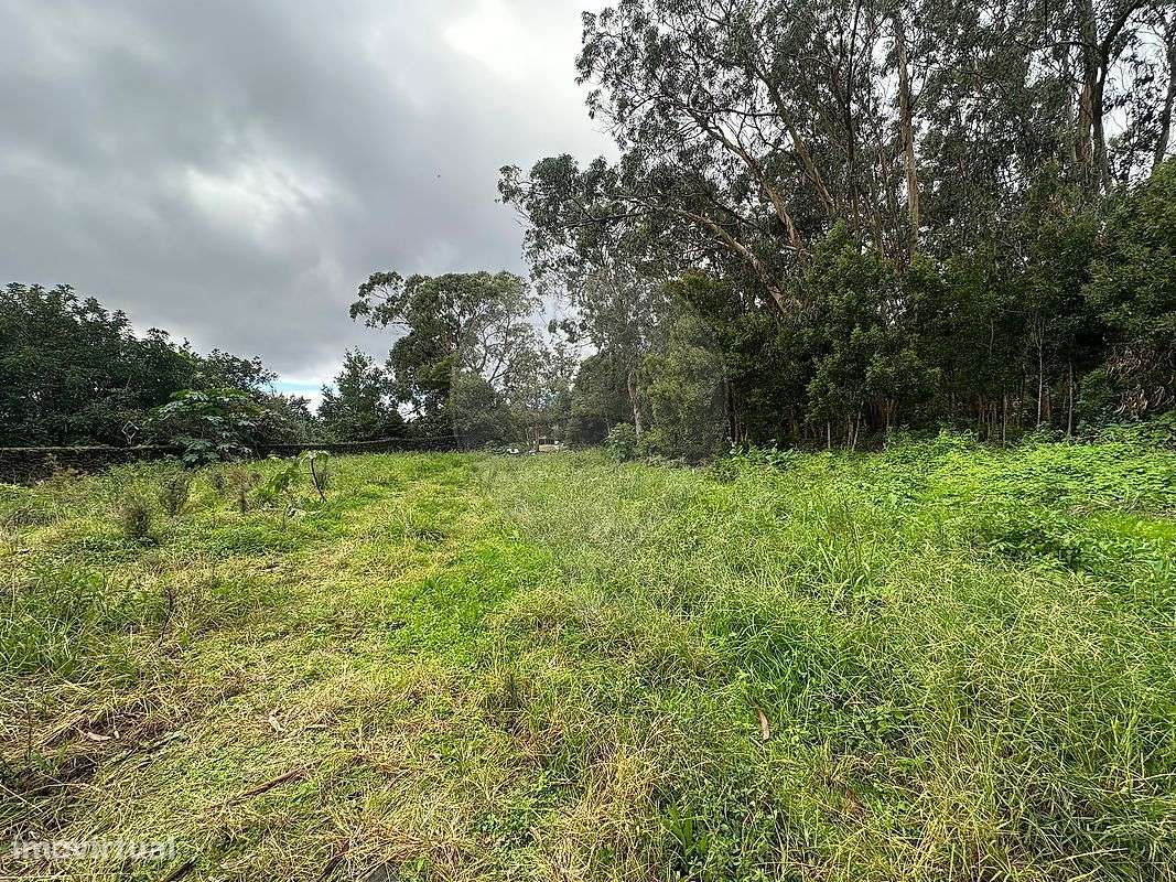 Terreno  para venda - Grande imagem: 3/4